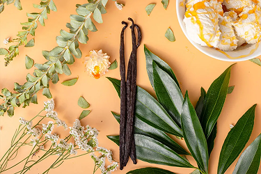 happy-african-american-man-smile-urban-background-positive-emotion-joyful-young-black-male-selective-focus-outdoors-happiness-concept (1) 1 (3)